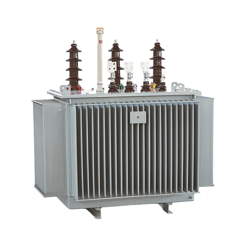 Transformateur de distribution immergé dans l'huile de 1600 Kva